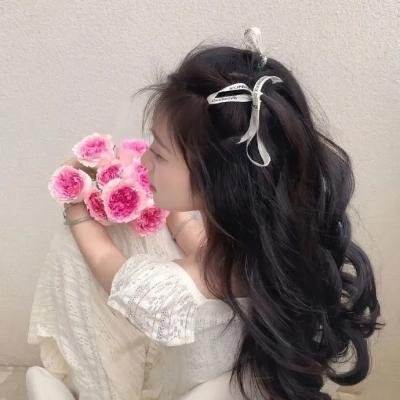 勃沙特的长征